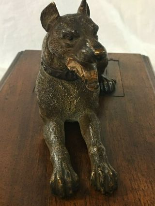 Rare Antique Desk Paper Holder / Clip Great Dane Dog Cold Painted Bronze 1800s 5