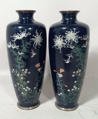 Pair Antique Very Fine Japanese Cloisonne Vases W Birds & Flowers