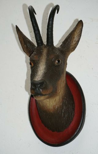 Antique Great Carved Wood Black Forest Chamois Head: 1900