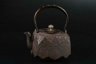 S1829: Japanese Xf Old Iron Tea Kettle Teapot Tetsubin Silver Inlay Handle
