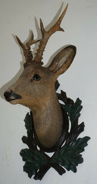 Antique Black Forest Wood Carved Roe Buck Head W.  Glass Eyes