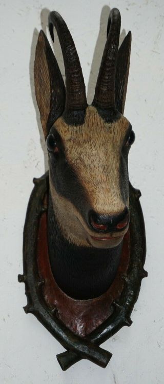 Antique Life Size Great Carved Wood Black Forest Chamois Head: 1900