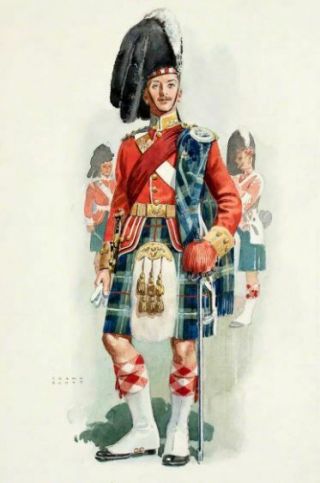WW1 British / Canadian Scottish Seaforth Highlanders Officers Levee Hair Sporran 11