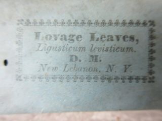 Antique Shaker Society D.  M.  Lebanon York Package Lovage Leaves 2