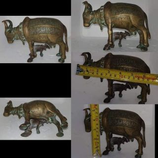 Antique Unique Lovely Cow Animal Silver inlaid Islamic Writing Bronze Animal 4