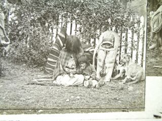 Old Native American Indian Glass Negative / Photo 3