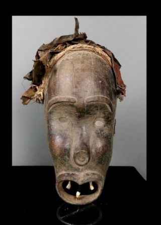 Old Tribal Giant Bulu Fetish Mask With Real Teeth.  - Cameroon