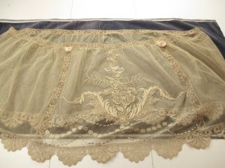 Antique Victorian Embroidered Net Petticoat Flounce