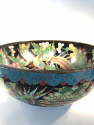 Antique Chinese Blue/Black Cloisonne Bowl - Floral Design w/Phoenix - Marked CHINA 10