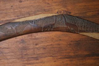 Old Boomerang collected near Yalata South Australia 1950 ' s Emu and tree motif 2