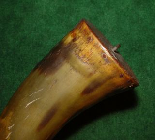 Revolutionary War Era Rifleman ' s Priming Powder Horn Hand Carved Spout 7