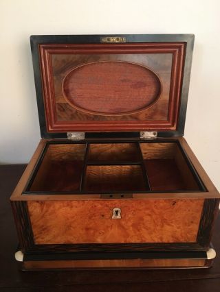 Antique American Bone Inlaid Specimen Thuya & Rosewood Box Circa 1876