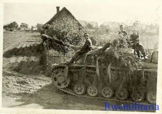 Best Panzermen Topside On Foliage Covered German Sturmgeschütz Panzer Tank