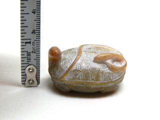 Antique 19th C Edo Japanese Hand Carved Hard Stone " Snake On Turtle " Netsuke