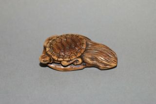 Japanese Traditional Antique Netsuke Antler Hand - Carved Minogame Turtle.
