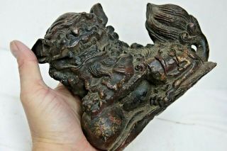 LARGE EARLY CHINESE GILT BRONZE FOO DOG - EXTREMELY RARE - L@@K 12