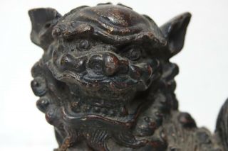 LARGE EARLY CHINESE GILT BRONZE FOO DOG - EXTREMELY RARE - L@@K 2