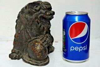 LARGE EARLY CHINESE GILT BRONZE FOO DOG - EXTREMELY RARE - L@@K 8