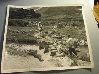 Korean War Press Photo Ammo & Supplies Carried To The Front By Koreans 1953