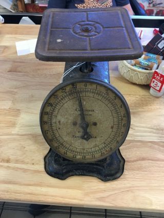 Vintage Antique Columbia Family Scale 24 Pound Capacity Store Scale Early 1900’s