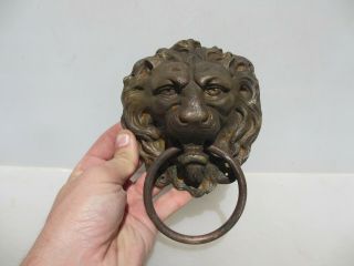 Victorian Brass Lion Head Loop Handle Pull Antique Old Hardware Tie Georgian