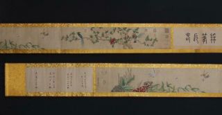 Fine Antique Chinese Hand - Painting Scroll Huang Quan Marked - Flower&bird