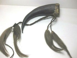 Antique Sioux Indian Buffalo Drinking Horn W Horse Hair Drops