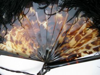 Antique Victorian Edwardian Faux Tortoiseshell Schildpatt Feather Fan 1880 - 1910 2