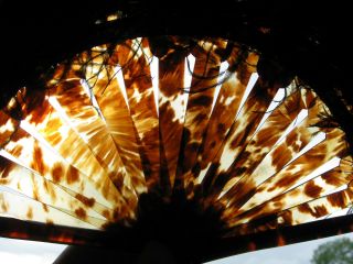 Antique Victorian Edwardian Faux Tortoiseshell Schildpatt Feather Fan 1880 - 1910 3