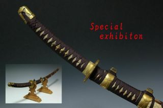 Japan Antique Edo Child Tachi 龍 Koshirae Sword Tsuba Yoroi Samurai Katana Busho