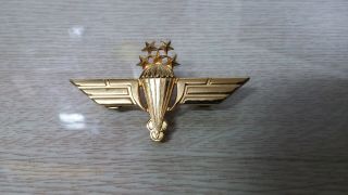 Rare Unknown Vintage Middle East Uae Army Sf Wing Badge Pin Military Insignia 5