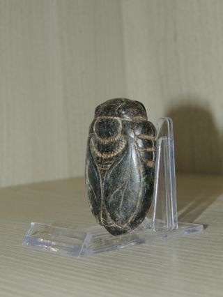 Antique Mongolian Carved Stone figure statuette,  idol,  god,  amulet,  Scarab 8