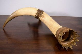 Antique French Hunting Horn on Bronze Base Cornucopia Cattle/Cow Horn 8
