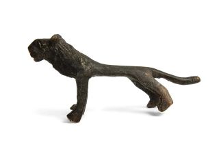 Rare Antique African Bronze Ashanti Gold Weight - a Lion 7