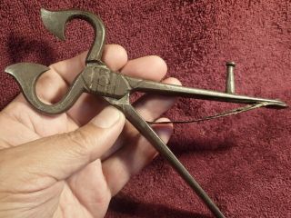 19 Cen Handforged Antique Decorated Springloaded Cutters Sugar Tongs Scandinavia