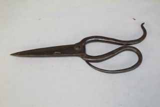 Rare Late 18th C Wrought Iron Shears With Great Handles And In An Old Surface
