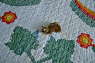 Antique 19th c Hand Stitched Princess Feather Quilt with Border 11
