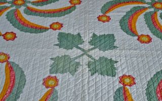 Antique 19th c Hand Stitched Princess Feather Quilt with Border 3