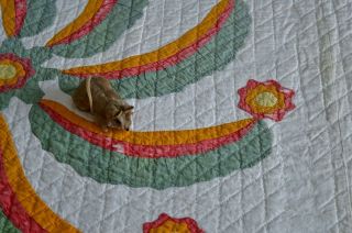 Antique 19th c Hand Stitched Princess Feather Quilt with Border 9