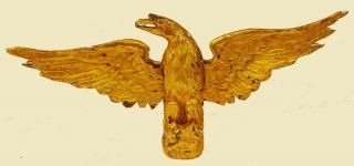 Stunning Fine Late 18th C Hand Carved And Gilded Wood Eagle
