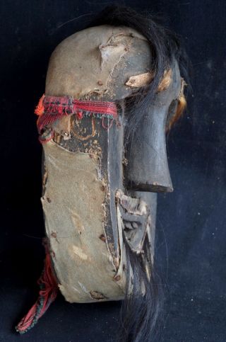 Shaman mask with horse hair and skin - Kefamenau area West Timor,  Indonesia 3