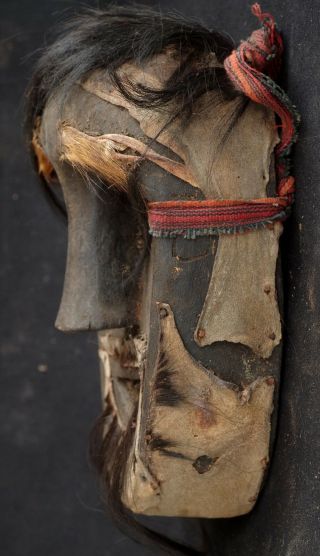 Shaman mask with horse hair and skin - Kefamenau area West Timor,  Indonesia 5