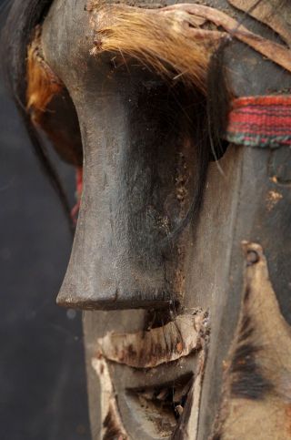 Shaman mask with horse hair and skin - Kefamenau area West Timor,  Indonesia 9