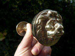Solid Brass Decorative Door Handle/knob Lion Head Project Replacement Full Set