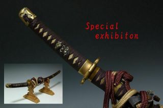 Japan Antique Edo 鬼 Child Tachi Koshirae Sword Tsuba Yoroi Samurai Katana Busho