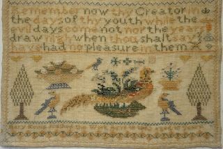 MID 19TH CENTURY PHEASANT,  MOTIF & QUOTATION SAMPLER BY MARY KEMP AGED 10 - 1862 3