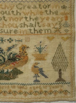 MID 19TH CENTURY PHEASANT,  MOTIF & QUOTATION SAMPLER BY MARY KEMP AGED 10 - 1862 7