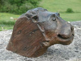 19thc OAK CARVED LION HEAD CORBEL C.  1860 7