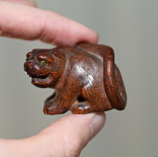 Antique Japanese Carved Boxwood Netsuke Of A Tiger,  Meiji Period,  19th Century.