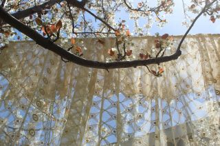 Antique Vintage Net Lace Bed Cover Tablecloth Wedding Backdrop Home Decor 92X76 5